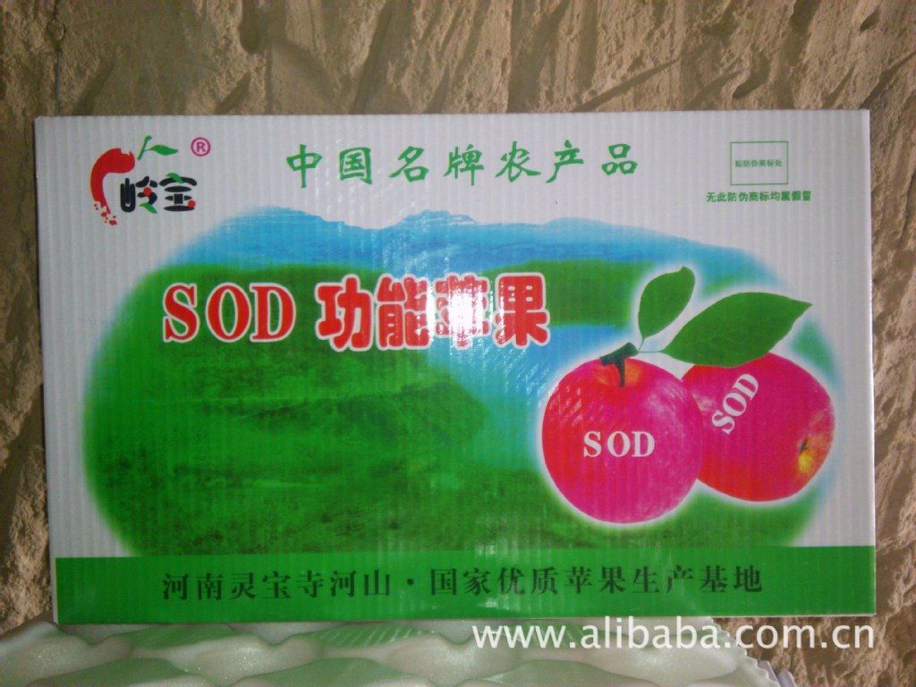 高山果園的饋贈 綠色無公害紅富士蘋果，品質(zhì)與健康的承諾