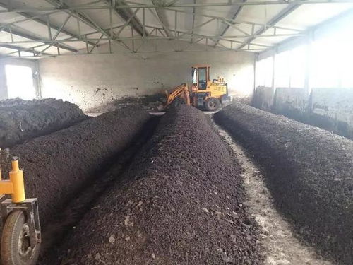 三農日報 新型農業經營者追逐規模效益，糞污變“綠肥”獲政策加持