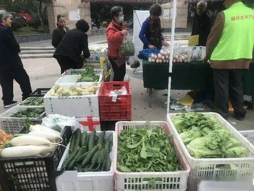 便捷與實惠并行 高品質農產品進社區，守護市民餐桌健康